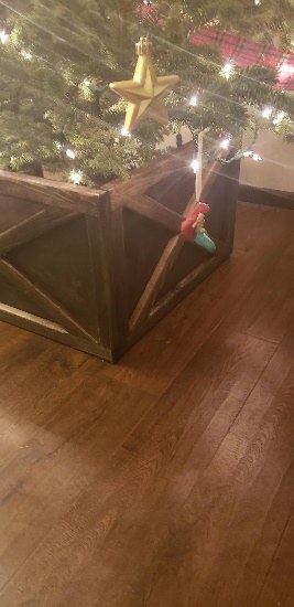 Tree Box